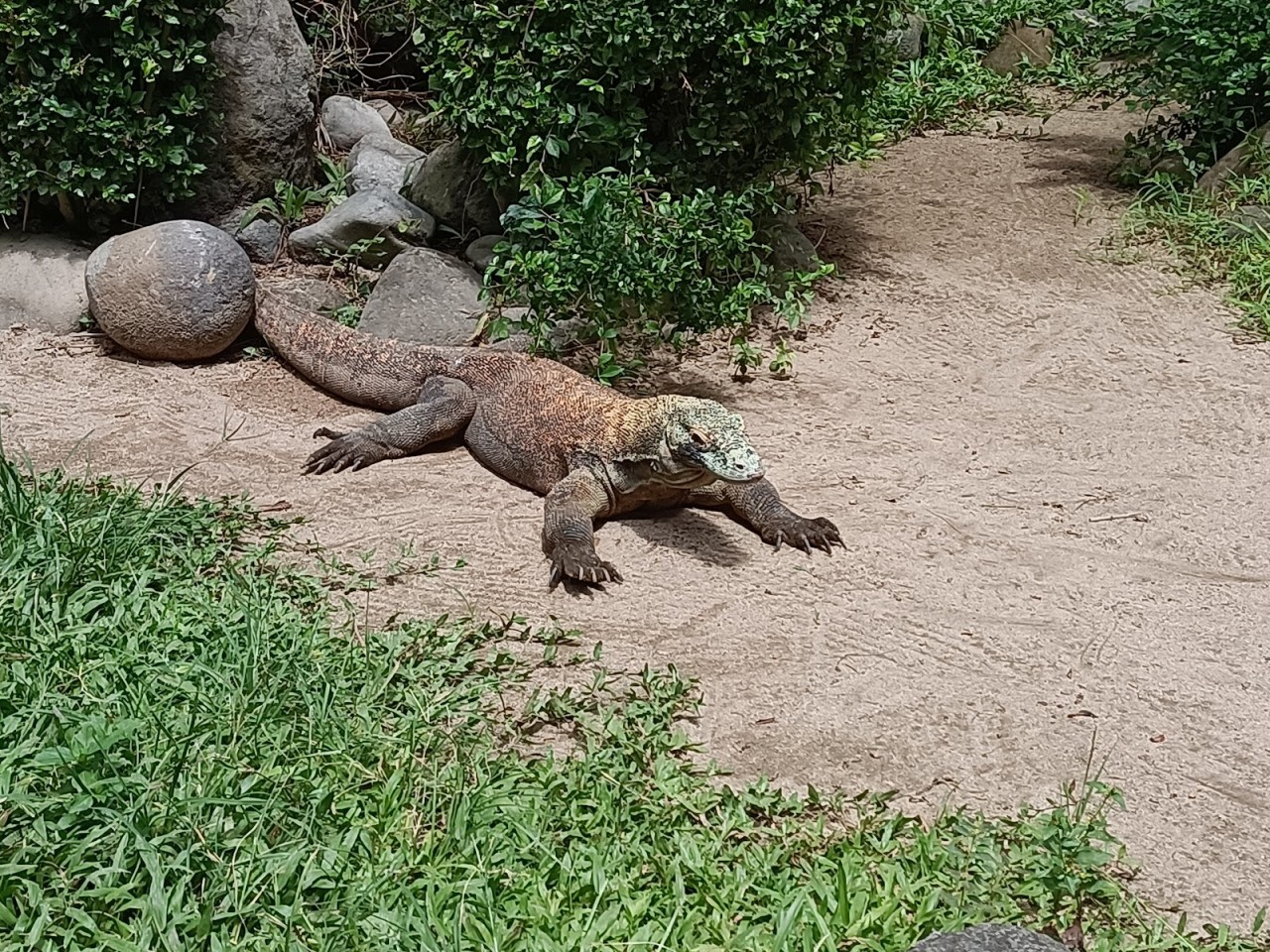 Bali Bird Park