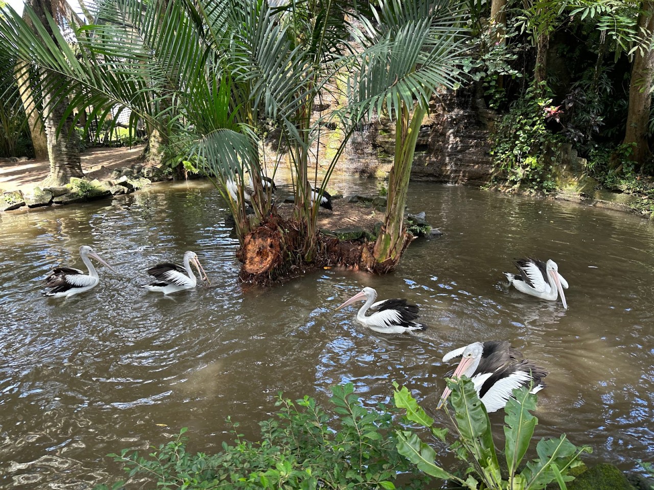 Bali Bird Park