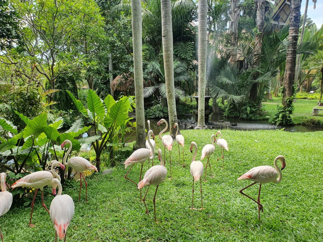 Bali Bird Park