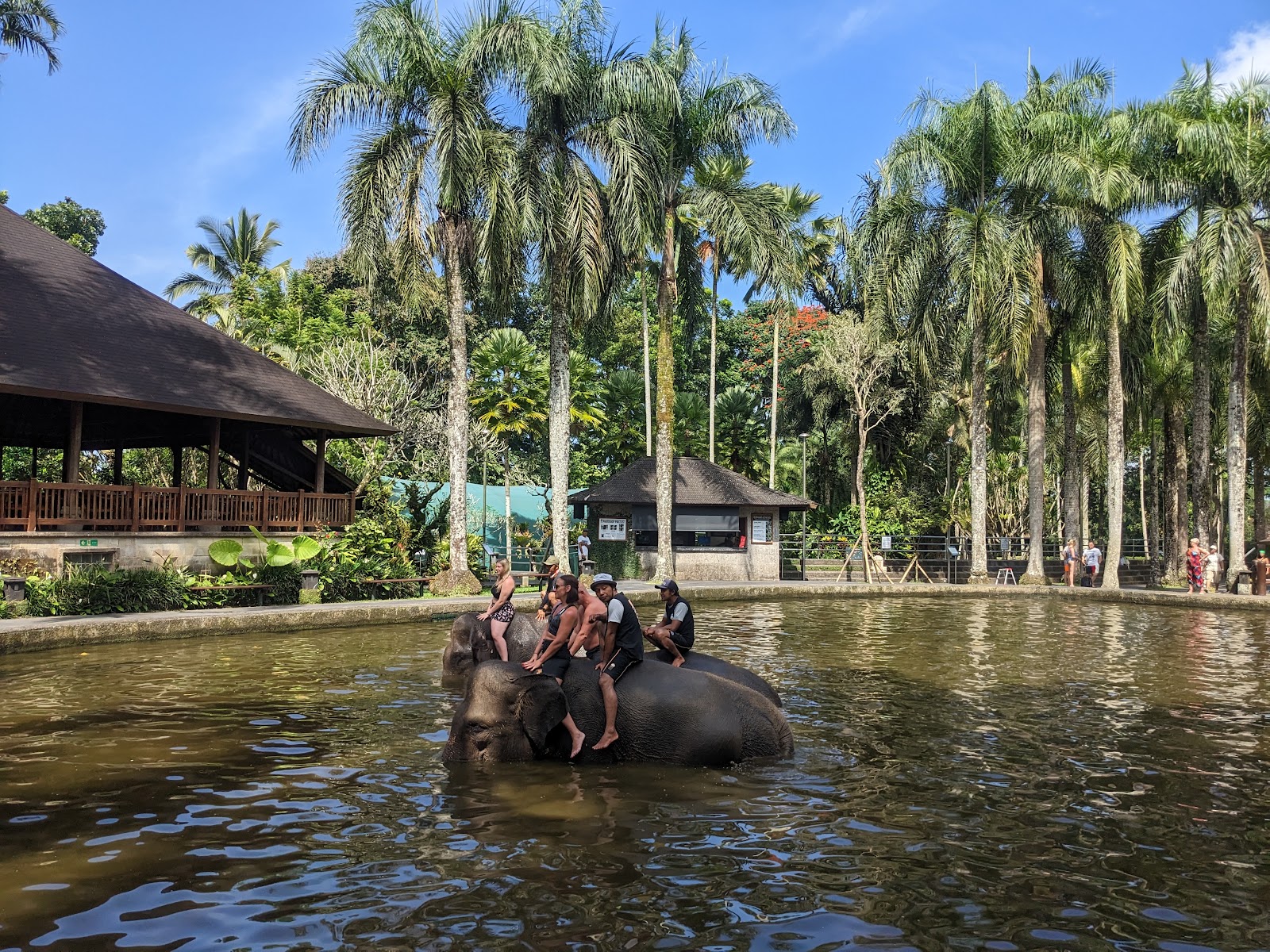 Elephant Safari Park Lodge Bali