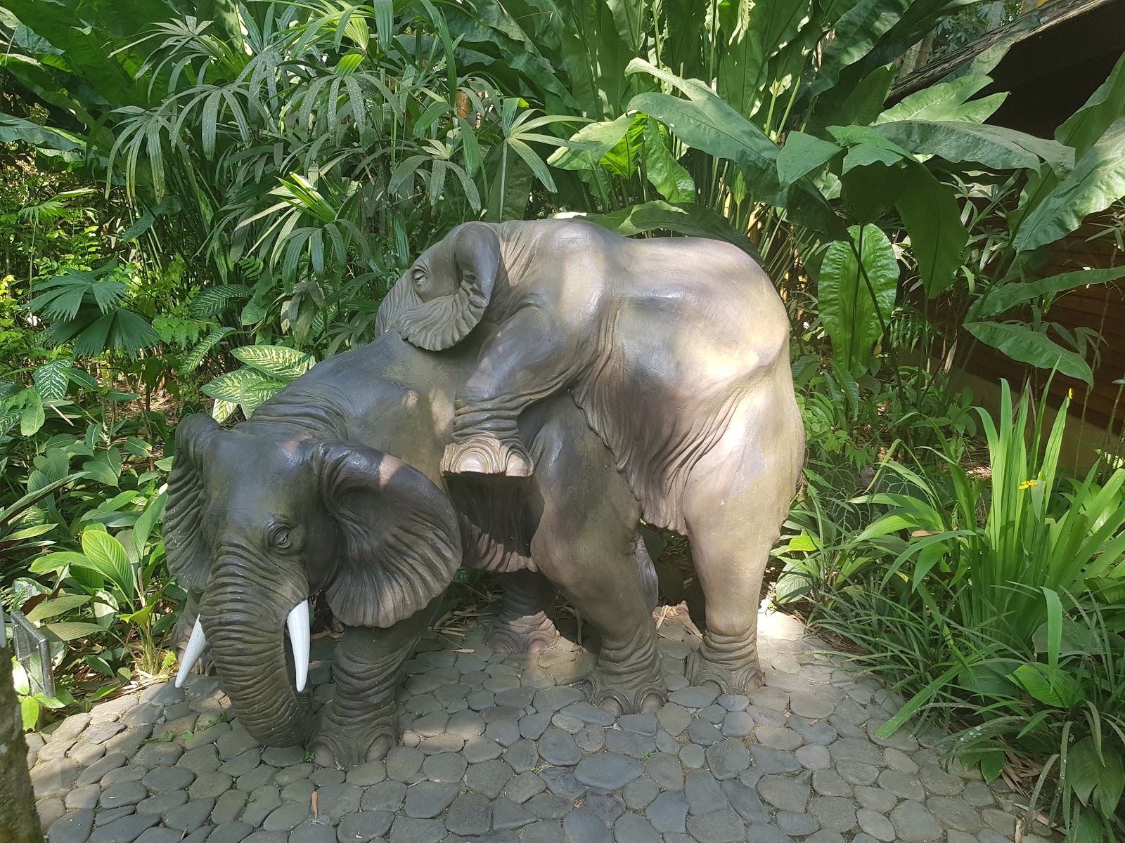 Park Elephant Safari Park Lodge Bali 143683