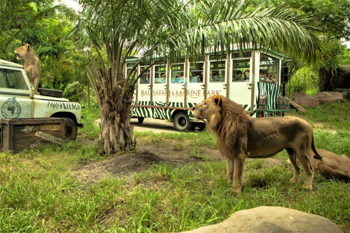 Park Bali Safari and Marine Park 101719