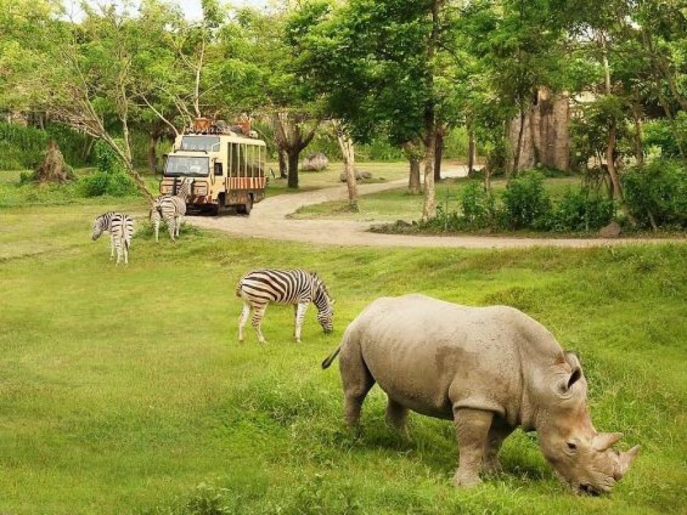 Park Bali Safari and Marine Park 101720