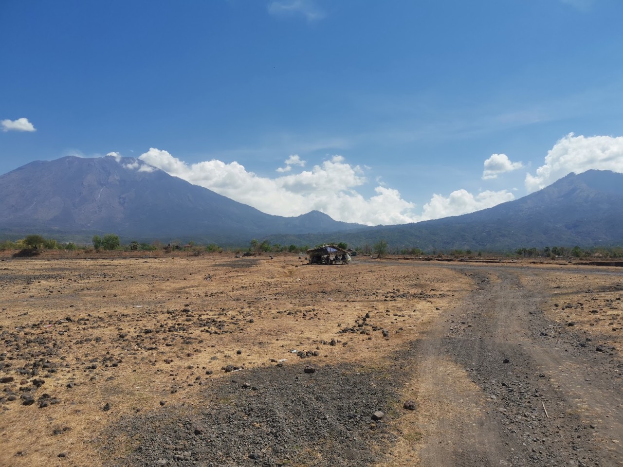 Savana Tianyar