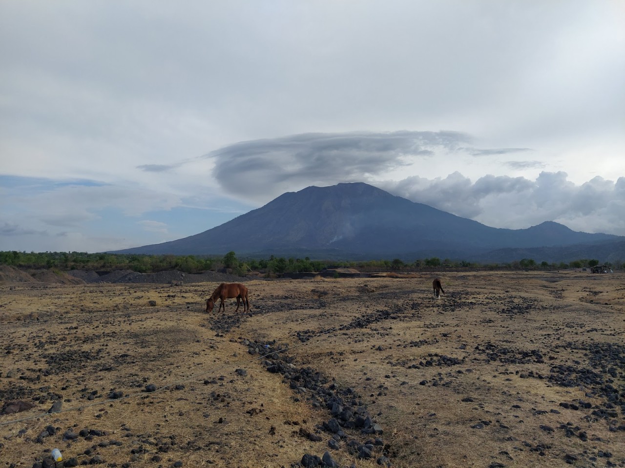 Savana Tianyar