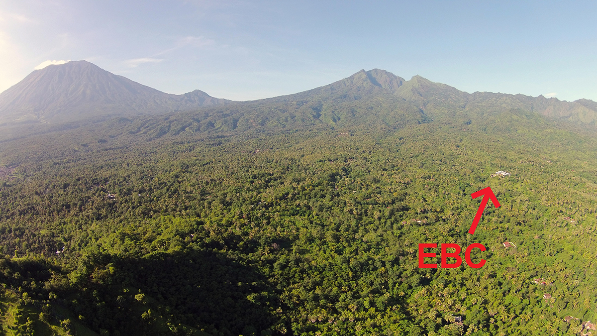 Coffee plantation YAVA - Factory (Not For Public Visit) 144076