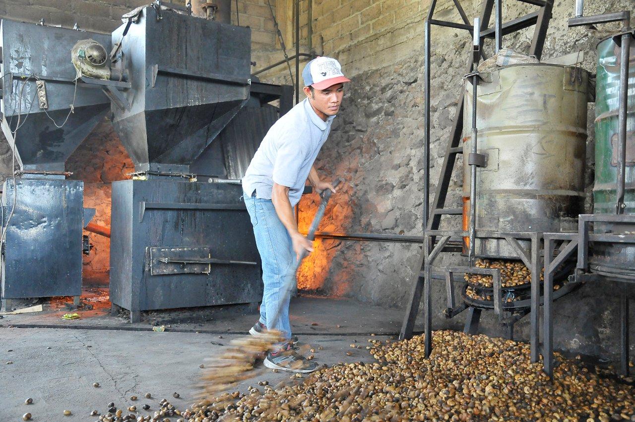 Coffee plantation YAVA - Factory (Not For Public Visit) 144079