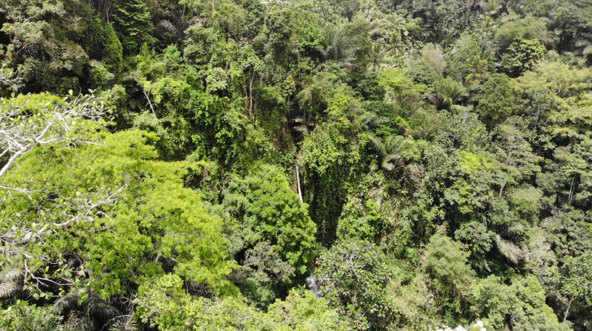 Waterfall Air Terjun Jagasatru 103542