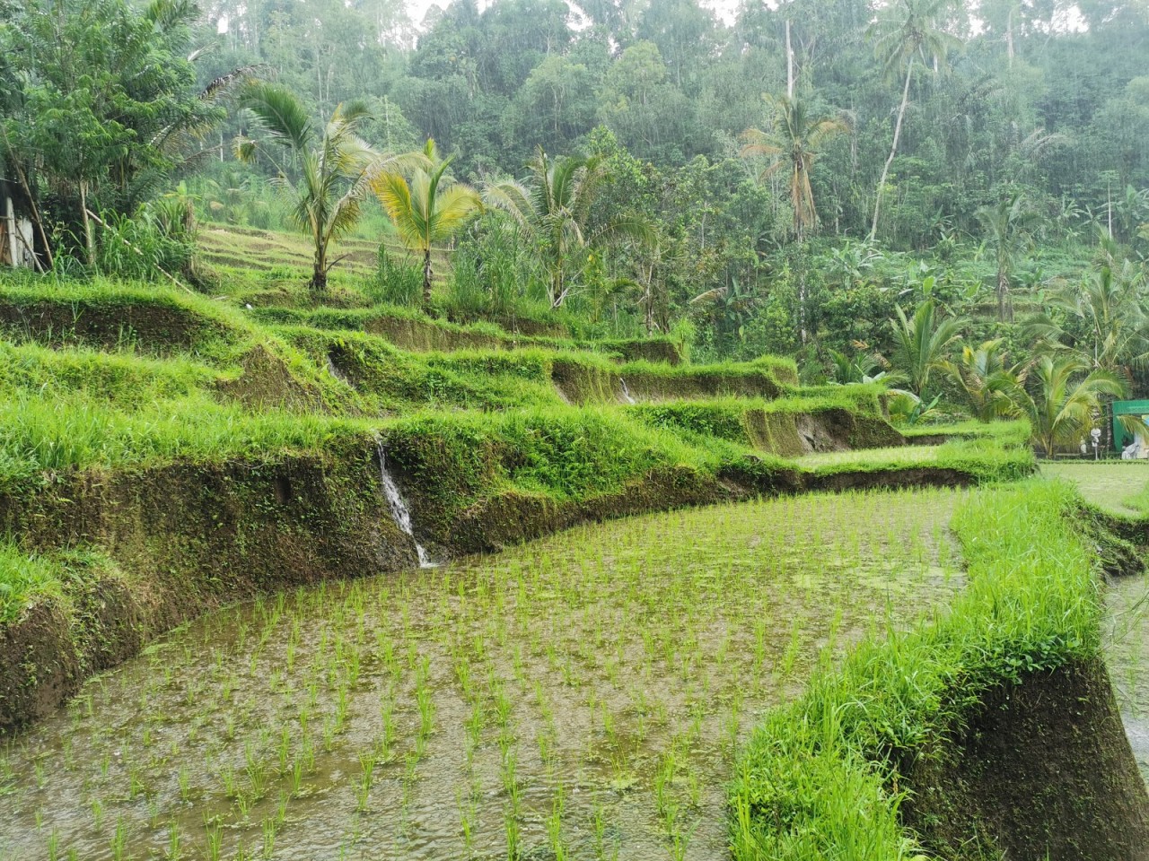Campuhan Antapan Waterfall