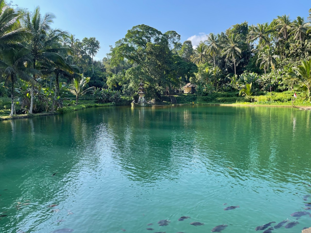 Taman Mumbul Sangeh