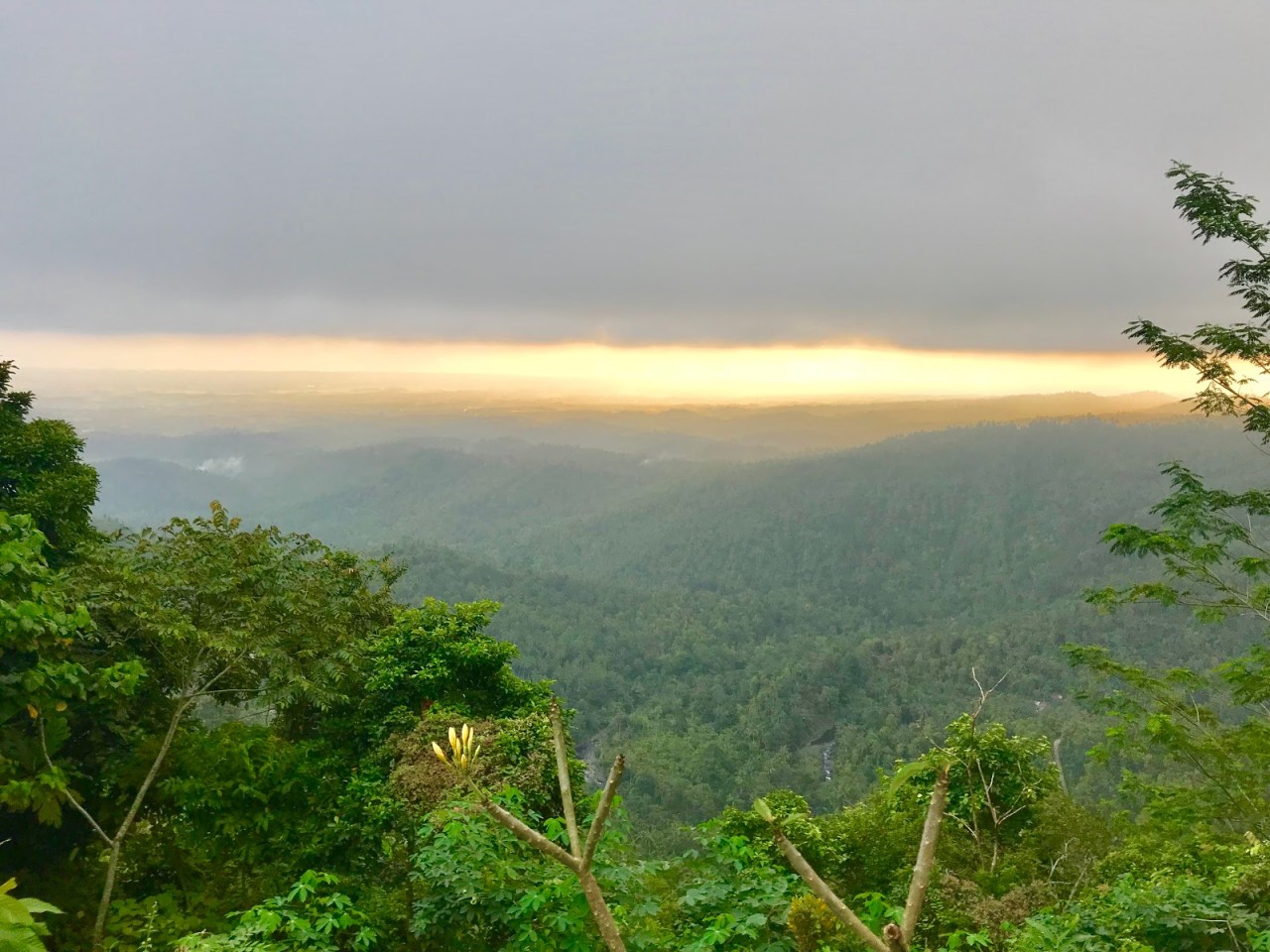 Wisata Puncak JR Jembrana Bali