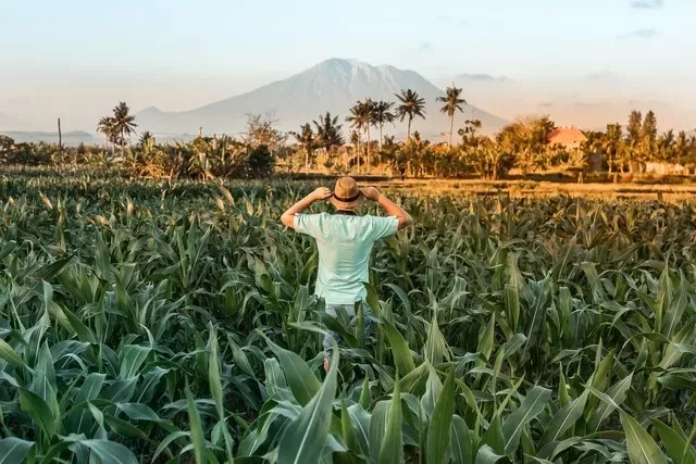 Bali Safety Tips for Tourists