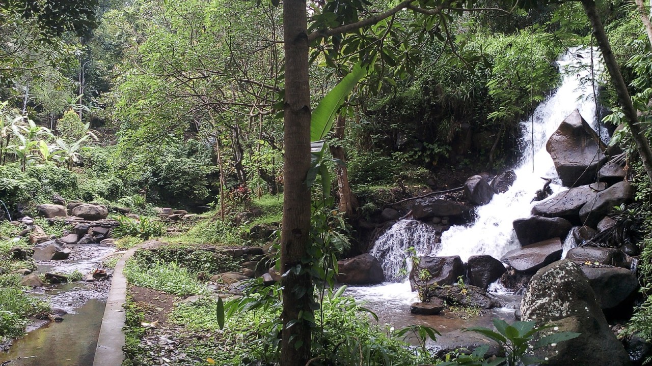 Anakan Teja