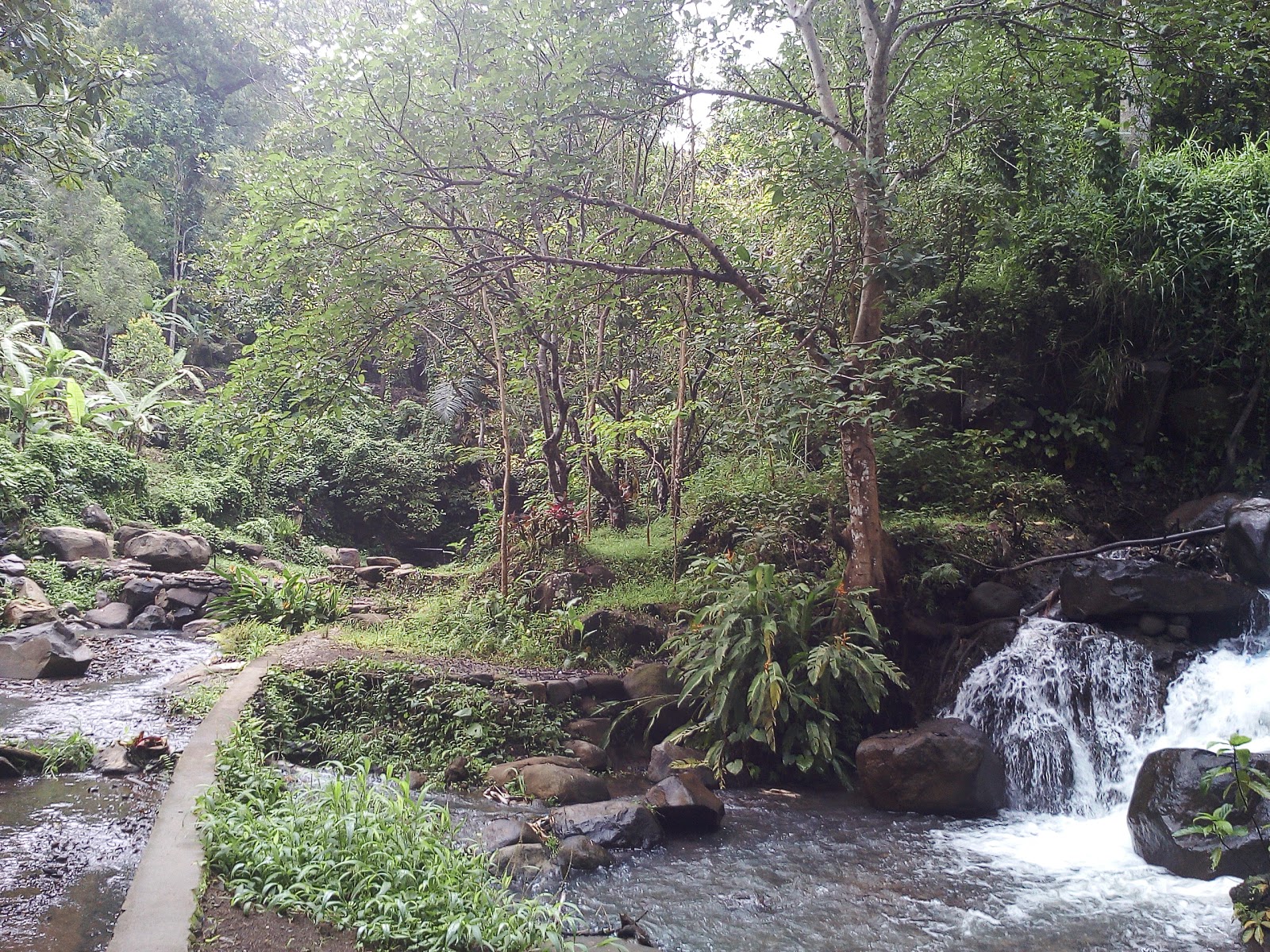 Waterfall Anakan Teja 63737