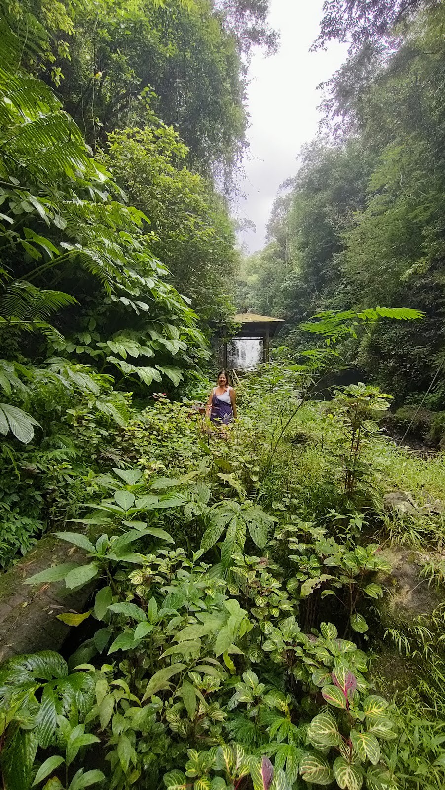 Air Terjun Bertingkat