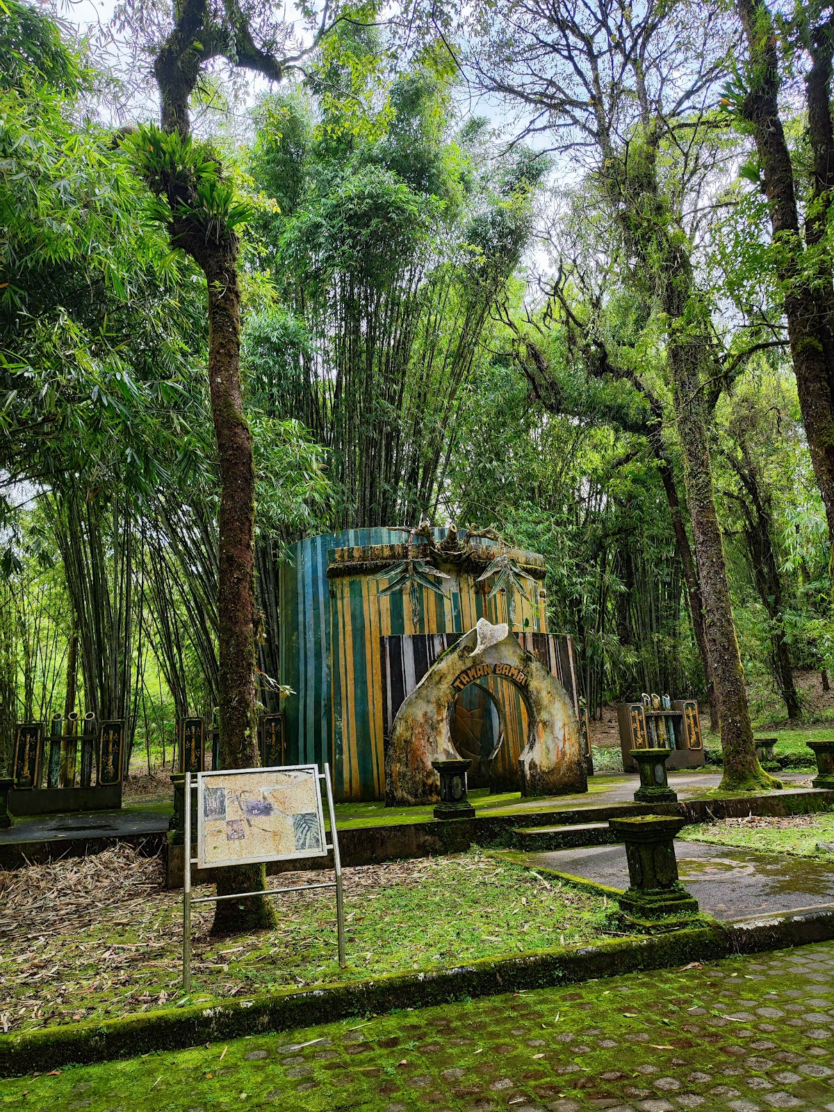 Forest Bamboo Garden 142246