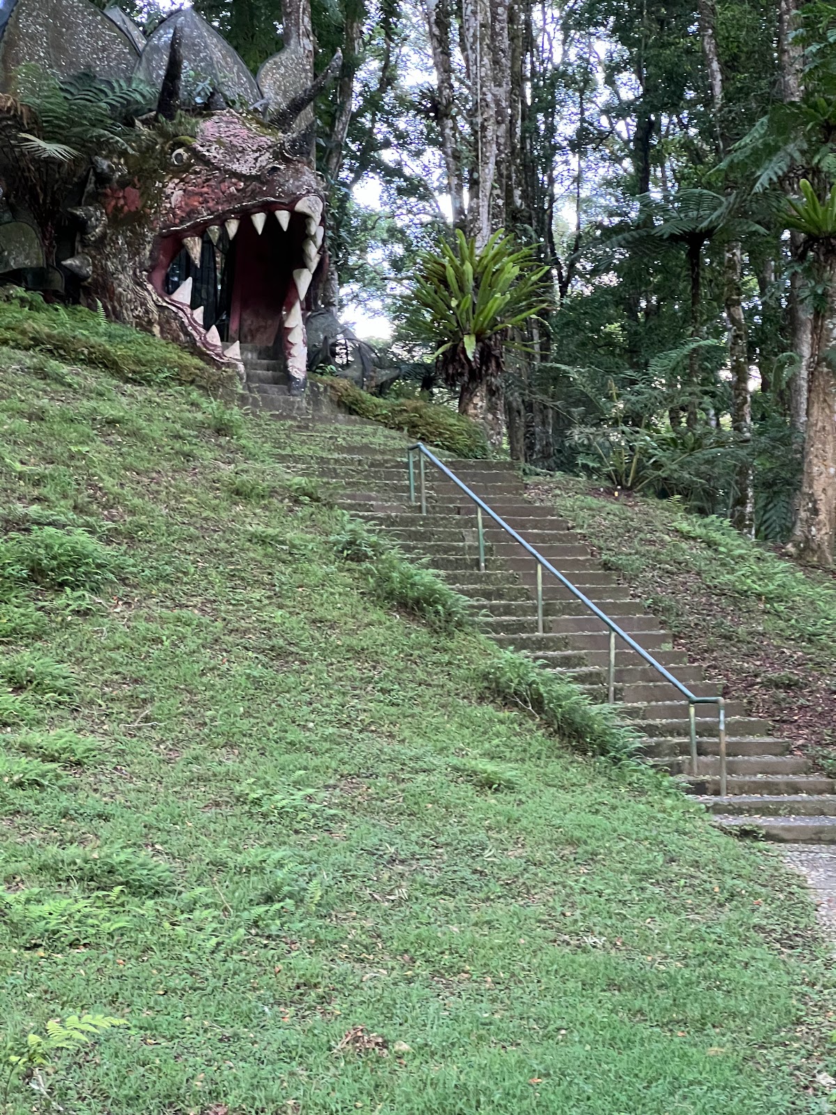 Fern Garden