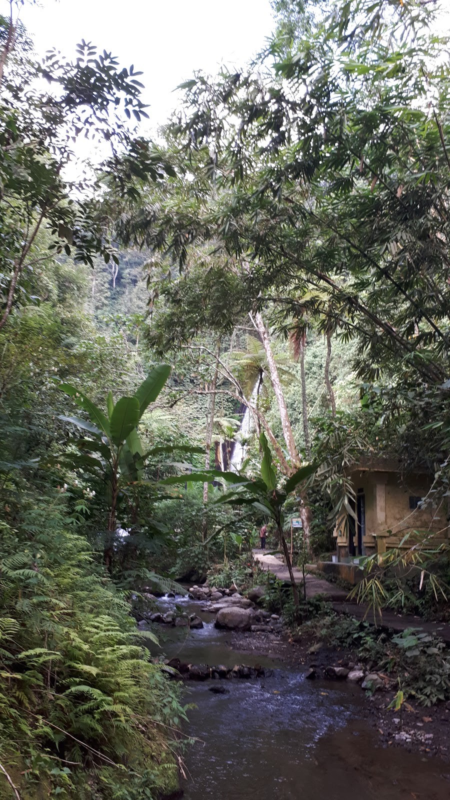 Red Coral Waterfall or Munduk Waterfall