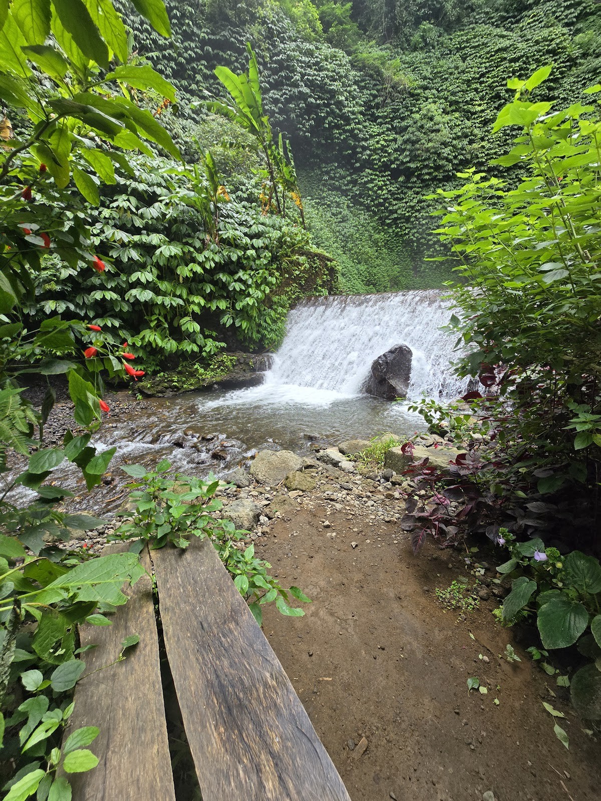 Red Coral Waterfall or Munduk Waterfall