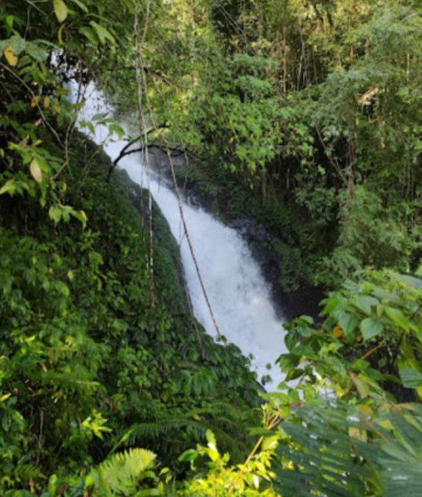 Changing Waterfall