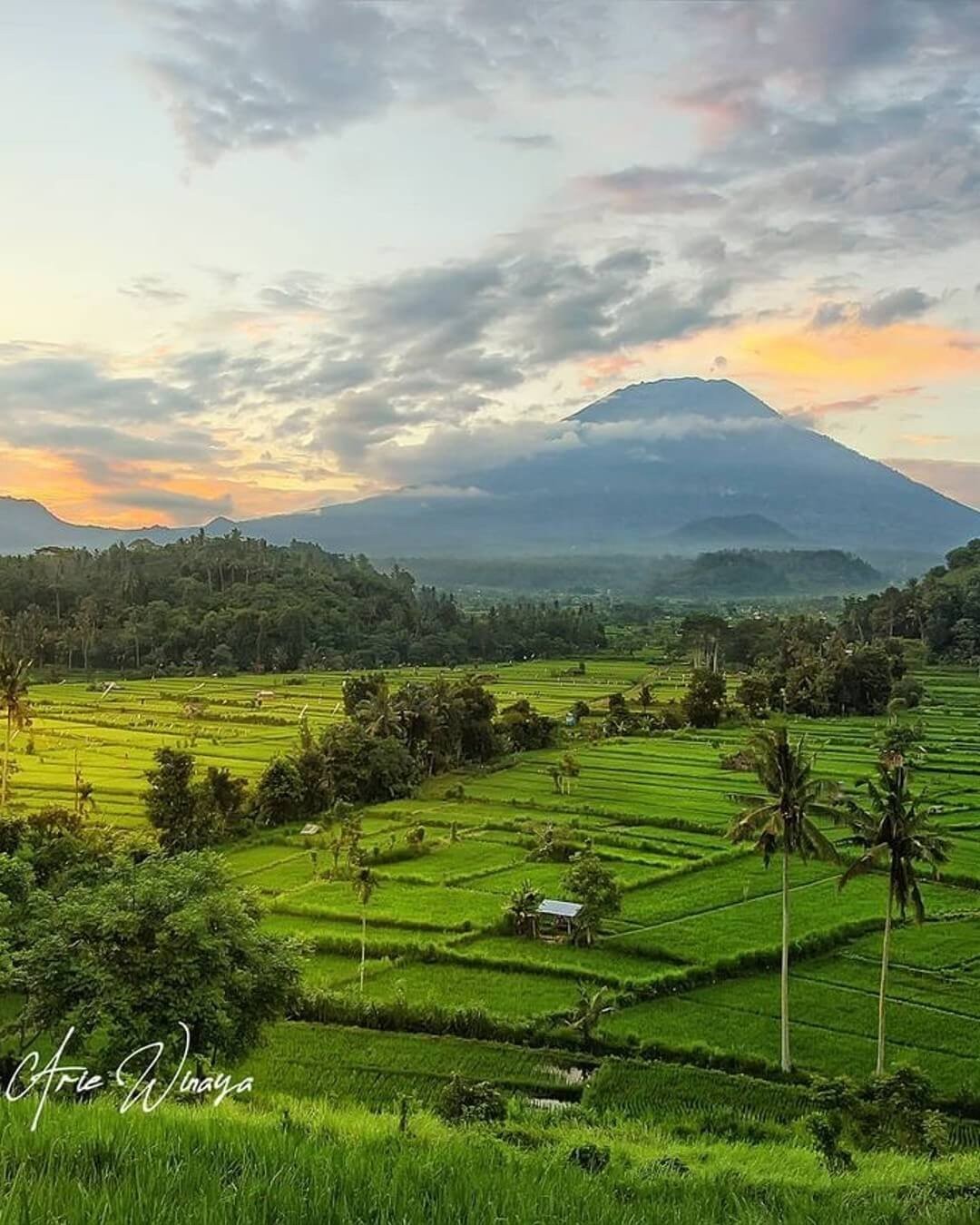 Bukit Cinta