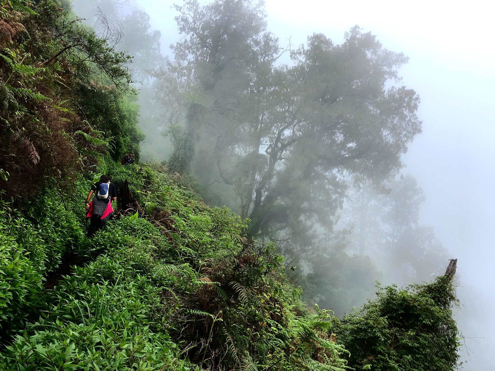 Mount Sengayang