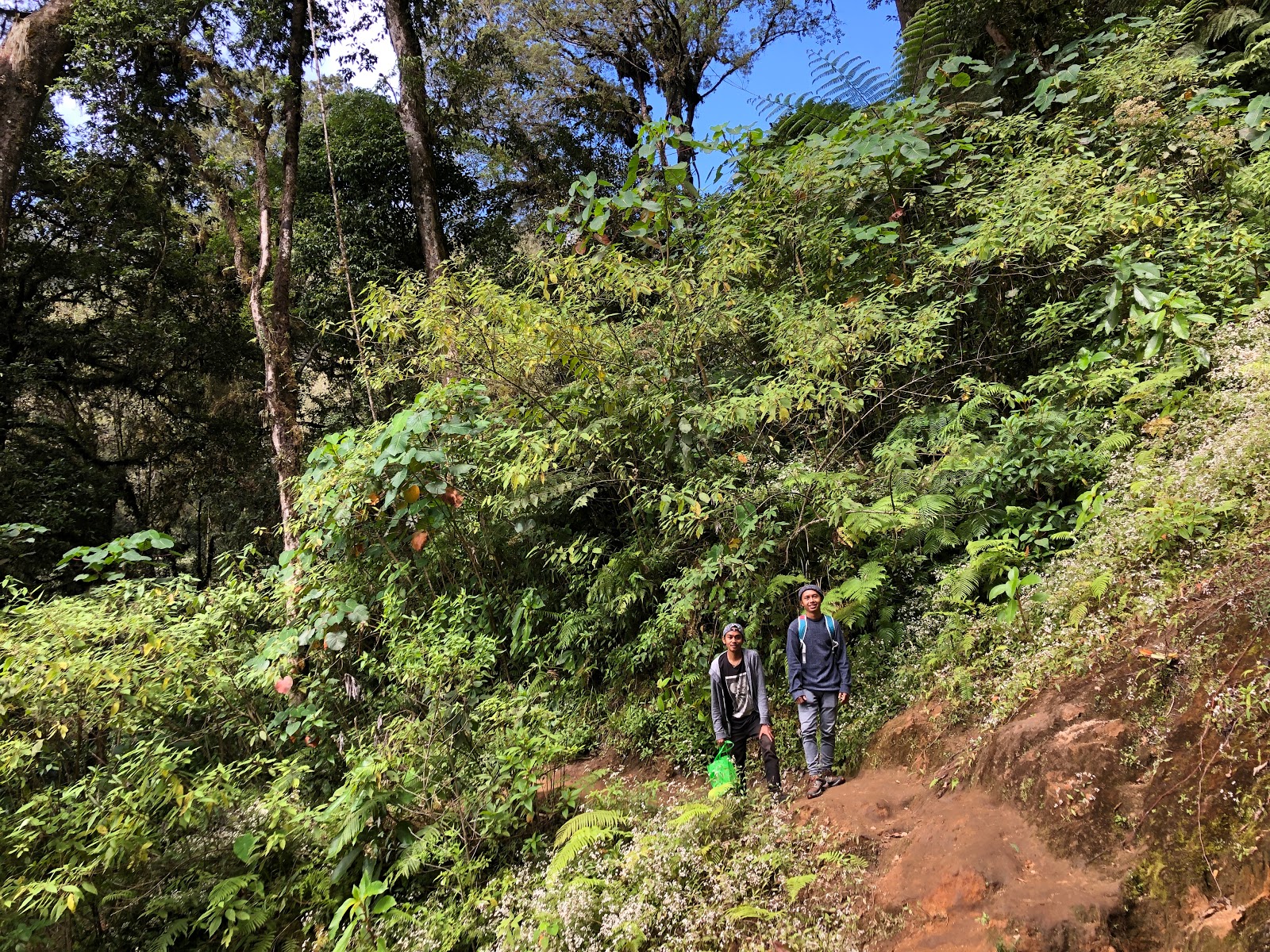 Gunung Catur