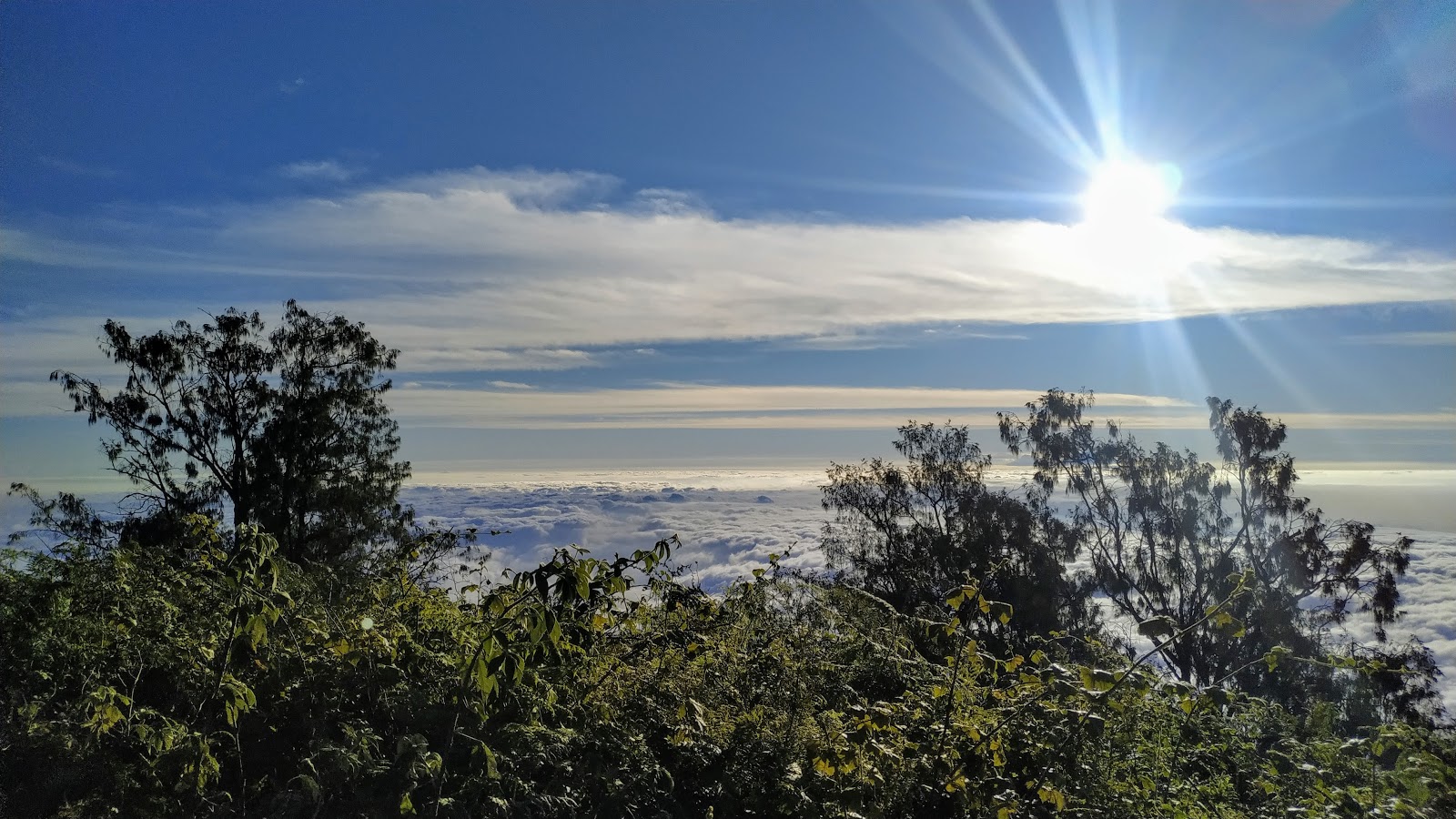 Mount Batukaru