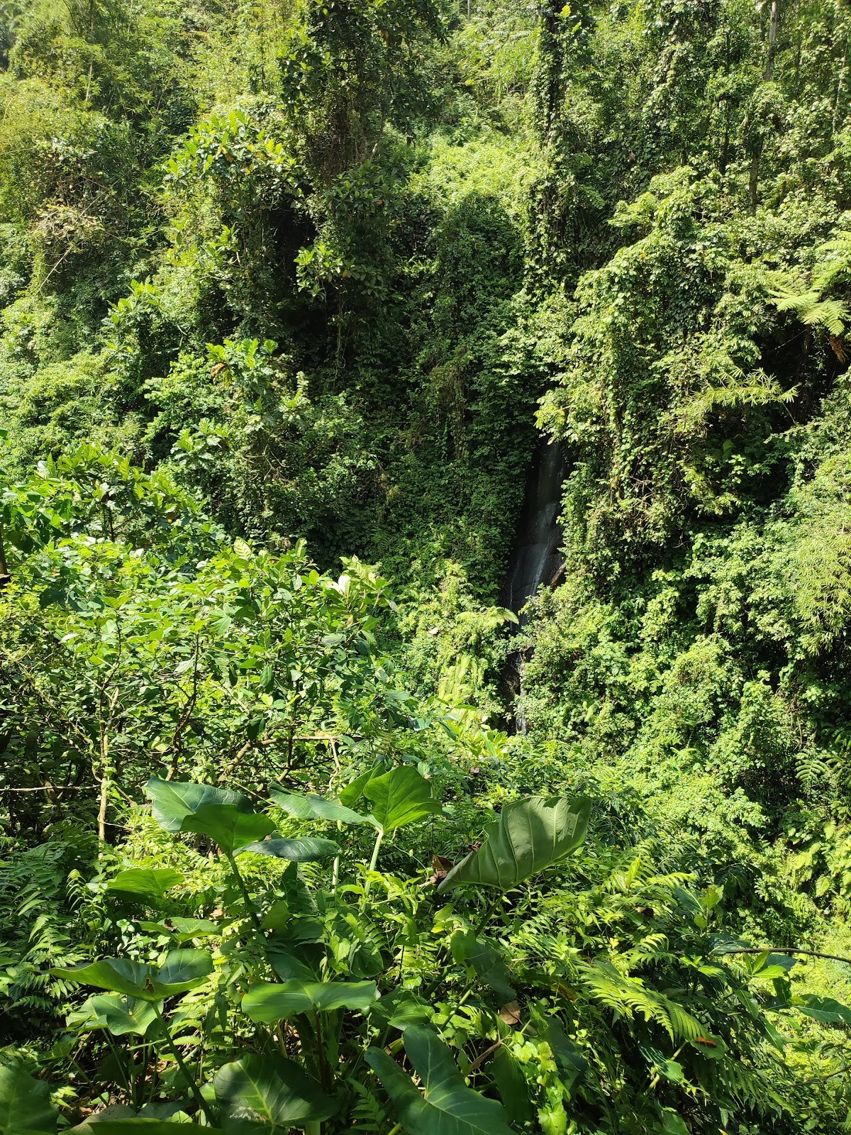 Air Terjun Kuning