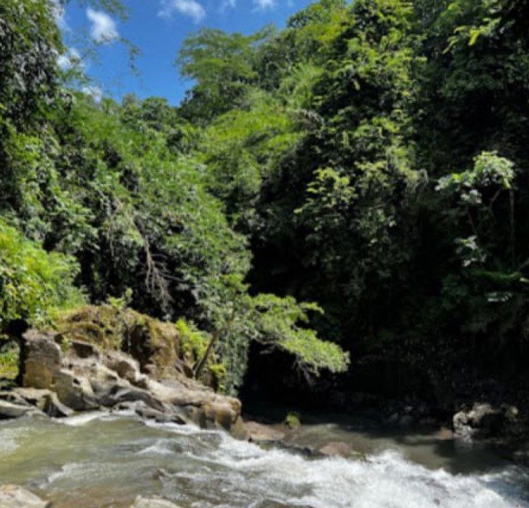 Waterfall Goa Rang Reng Waterfall 100552