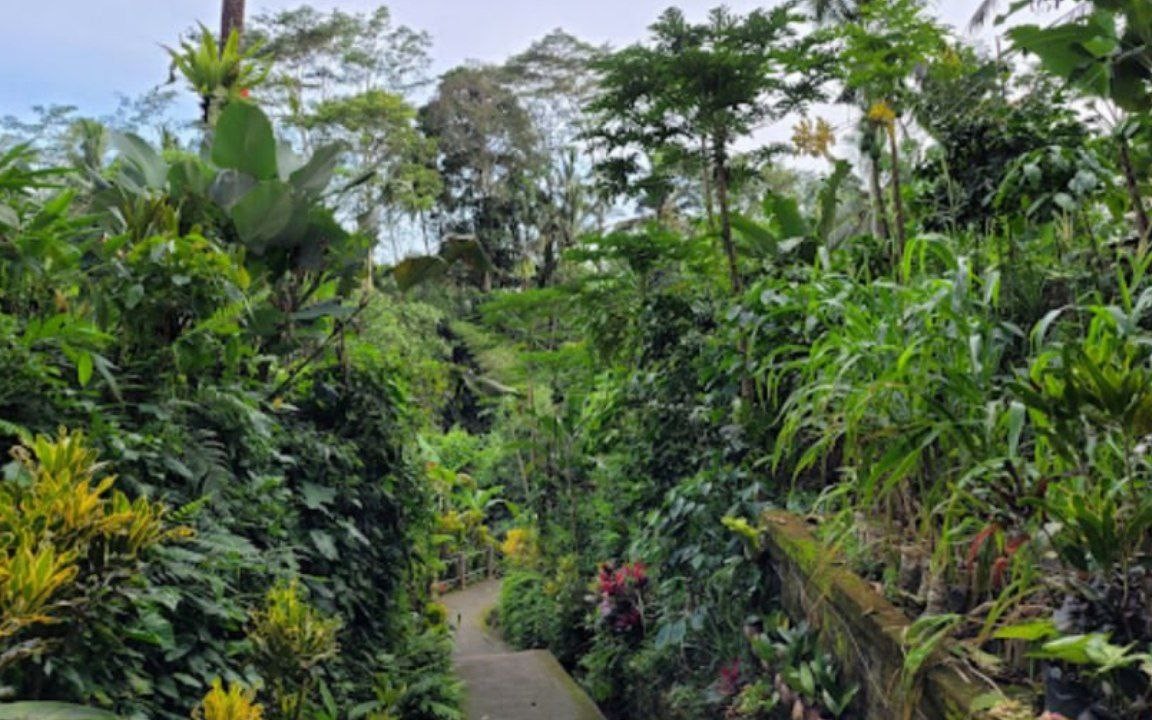 Tibumana Waterfall
