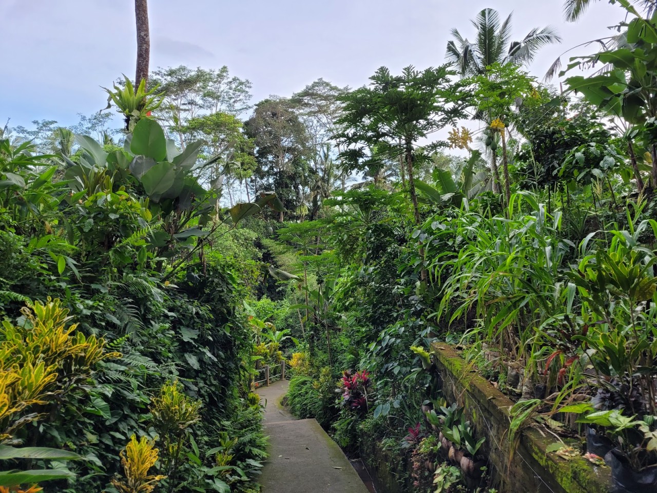 Tibumana Waterfall