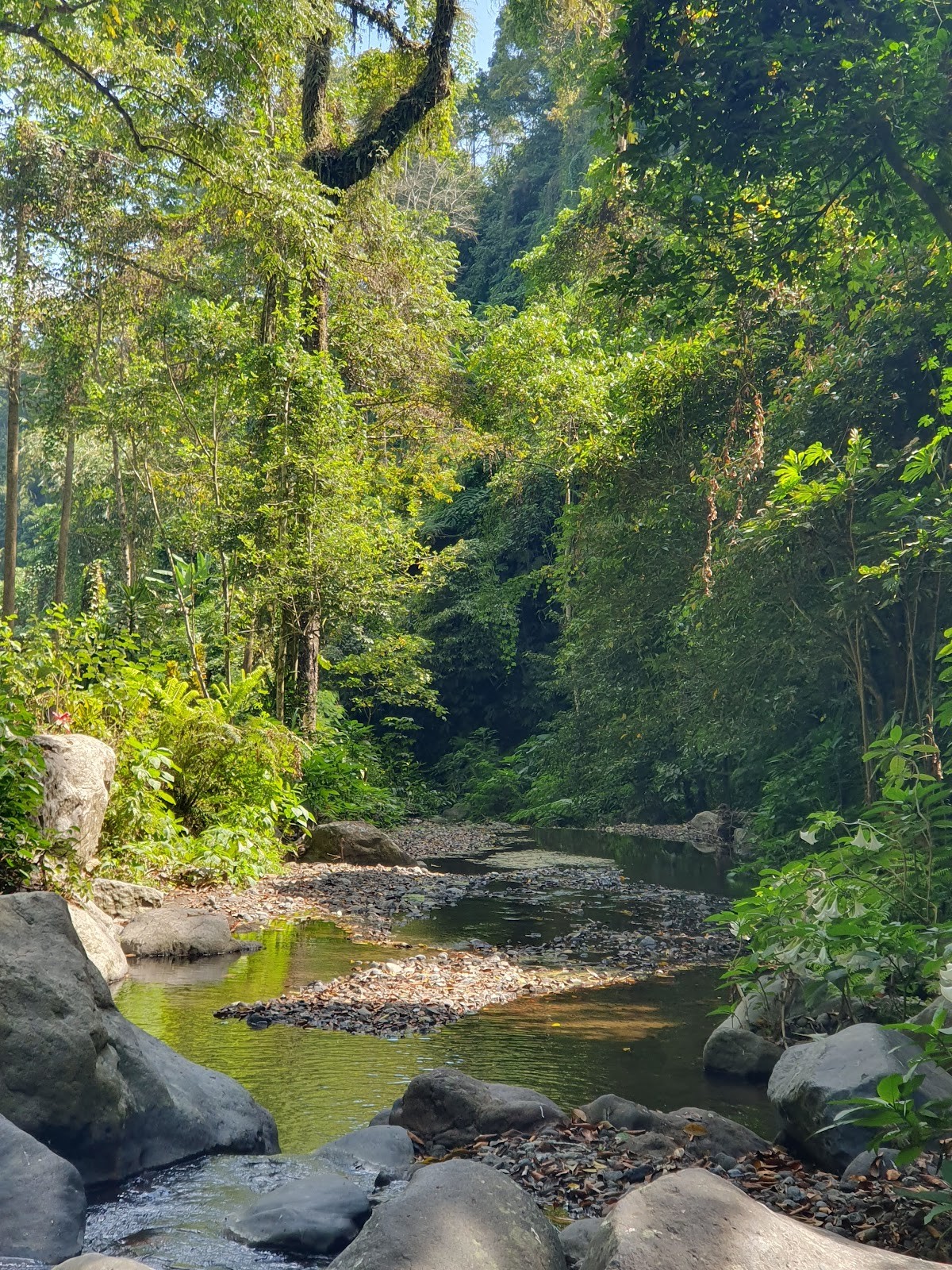 Air Terjun Blemantung