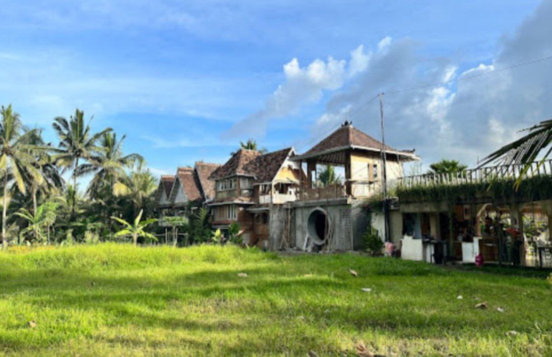 Path Through the Rice Fields