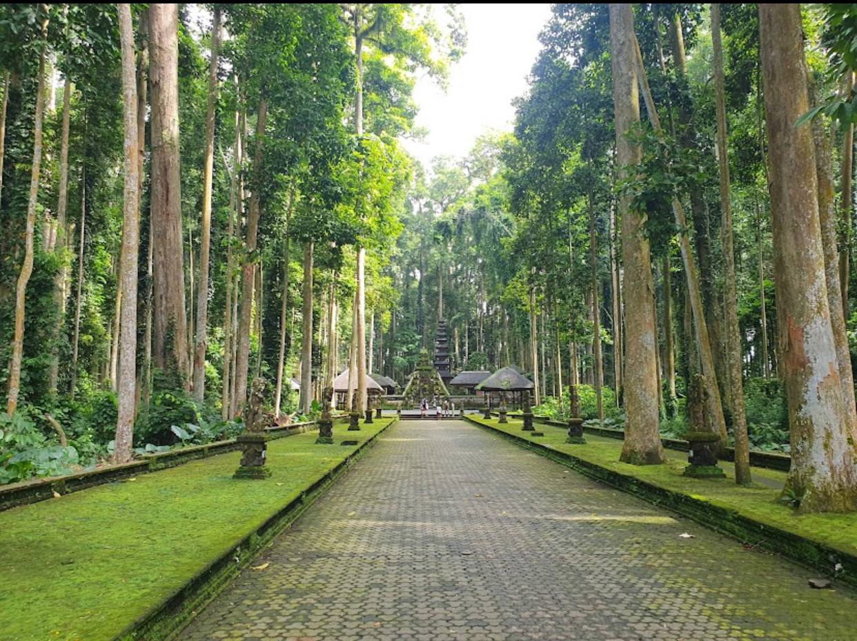 Sangeh Monkey Forest