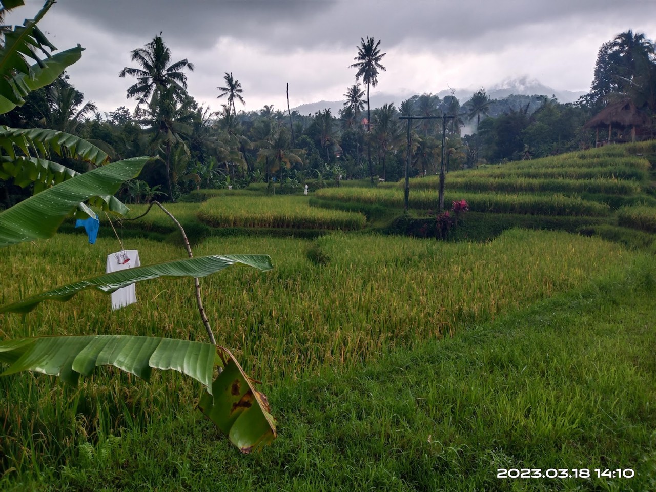 Parking lot to Aling Aling, Kroya, Kembar and Puchuk waterfalls