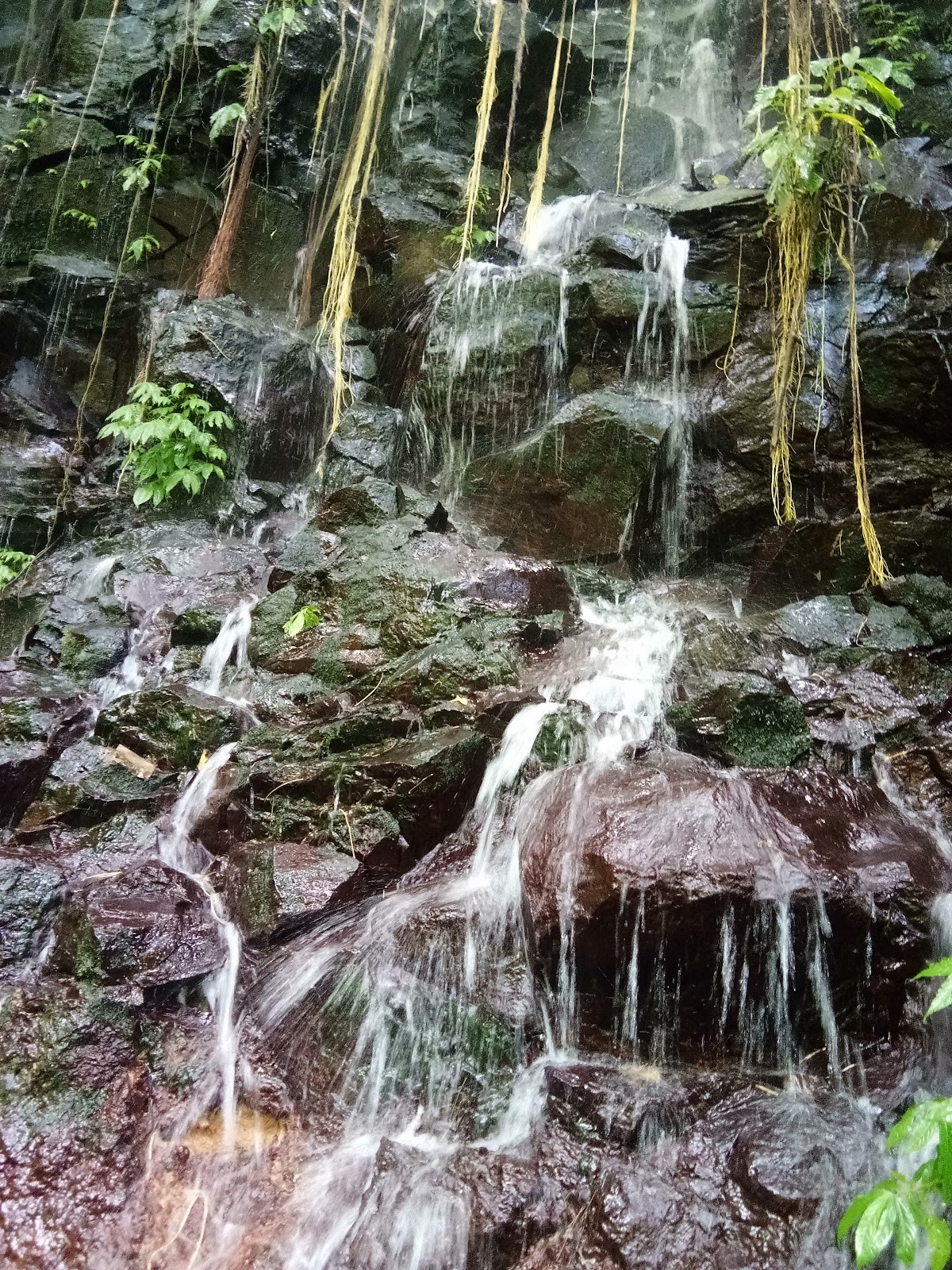 Parking lot to Aling Aling, Kroya, Kembar and Puchuk waterfalls