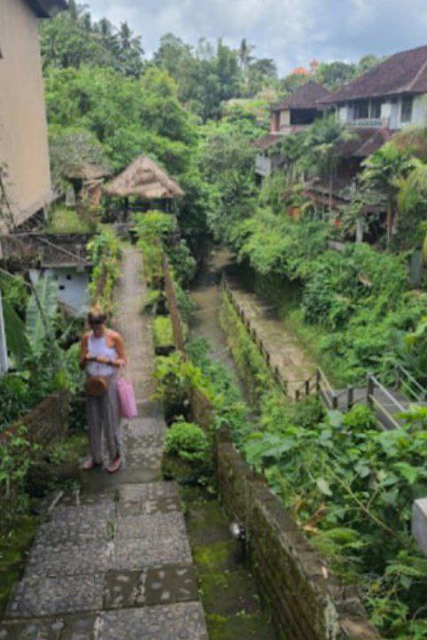 A trail through the rice paddies on Cajeng Street