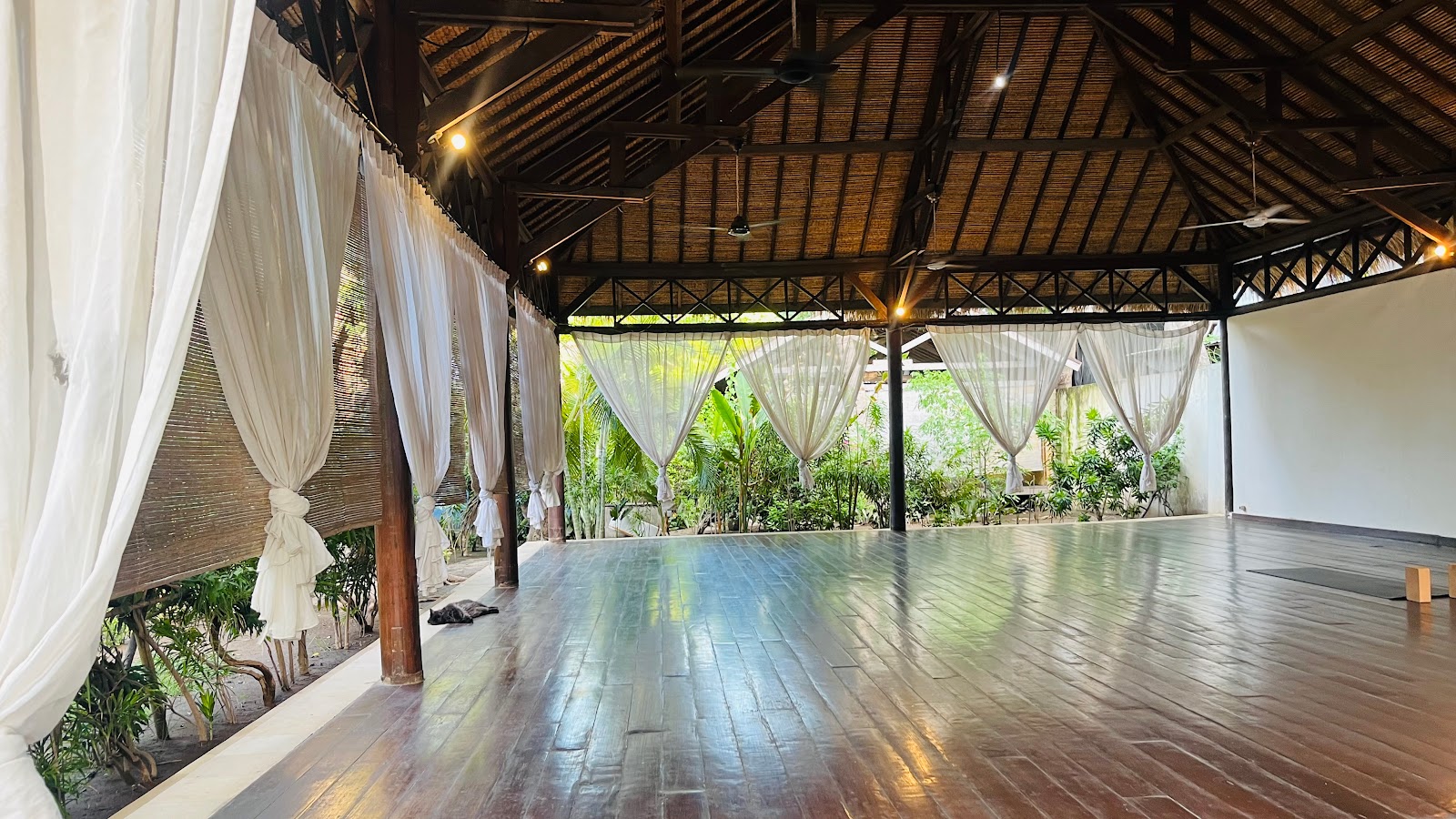 Gili Yoga