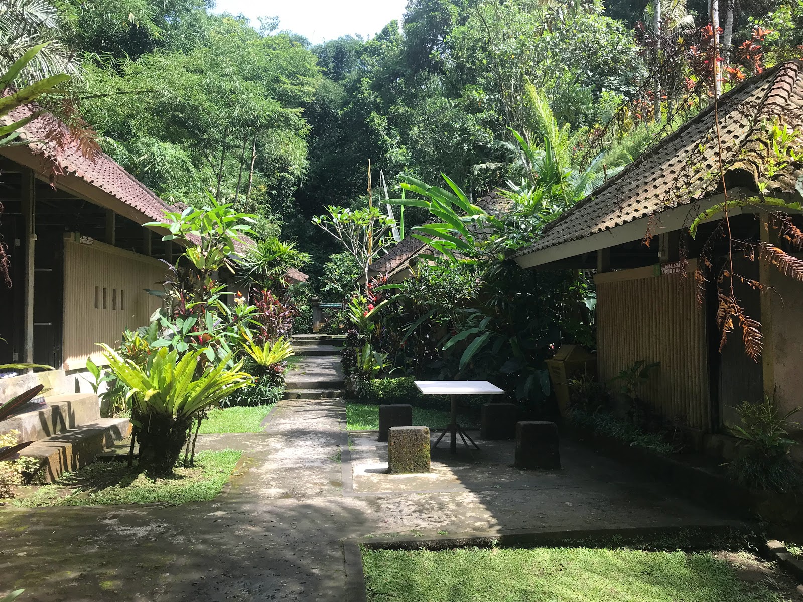 Hot Spring Penatahan Kaja