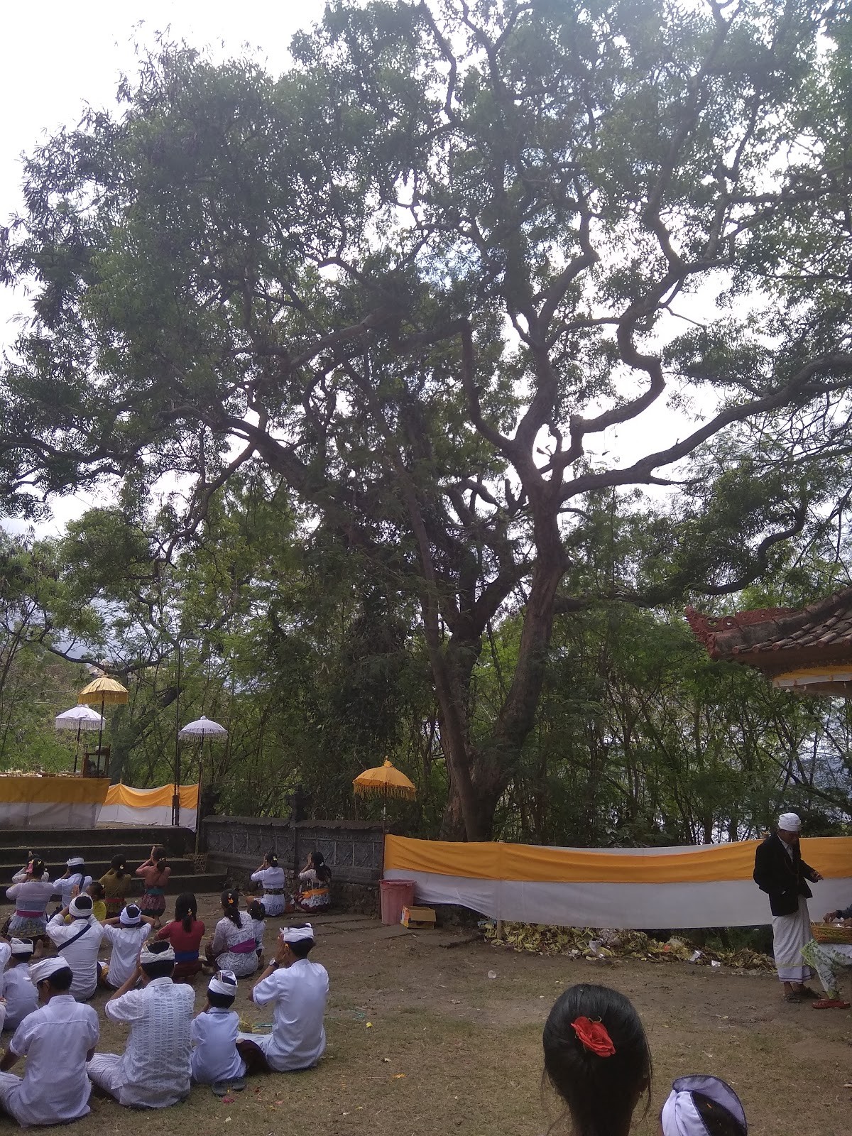 Pura Telaga Mas
