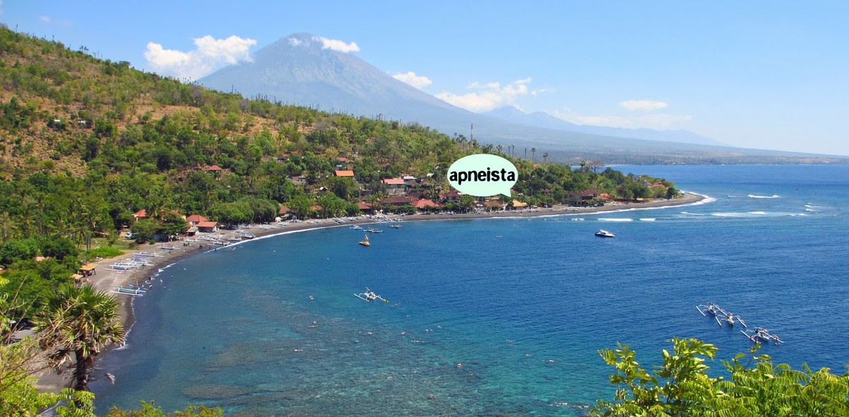 Apneista Freediving and Yoga School