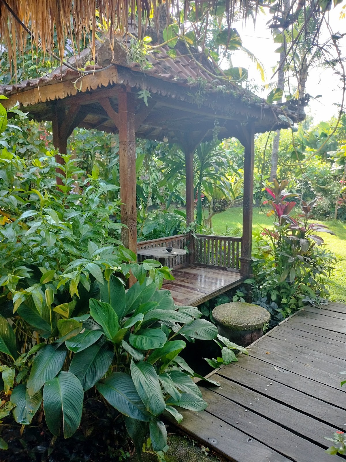 Dragonfly Village Sauna