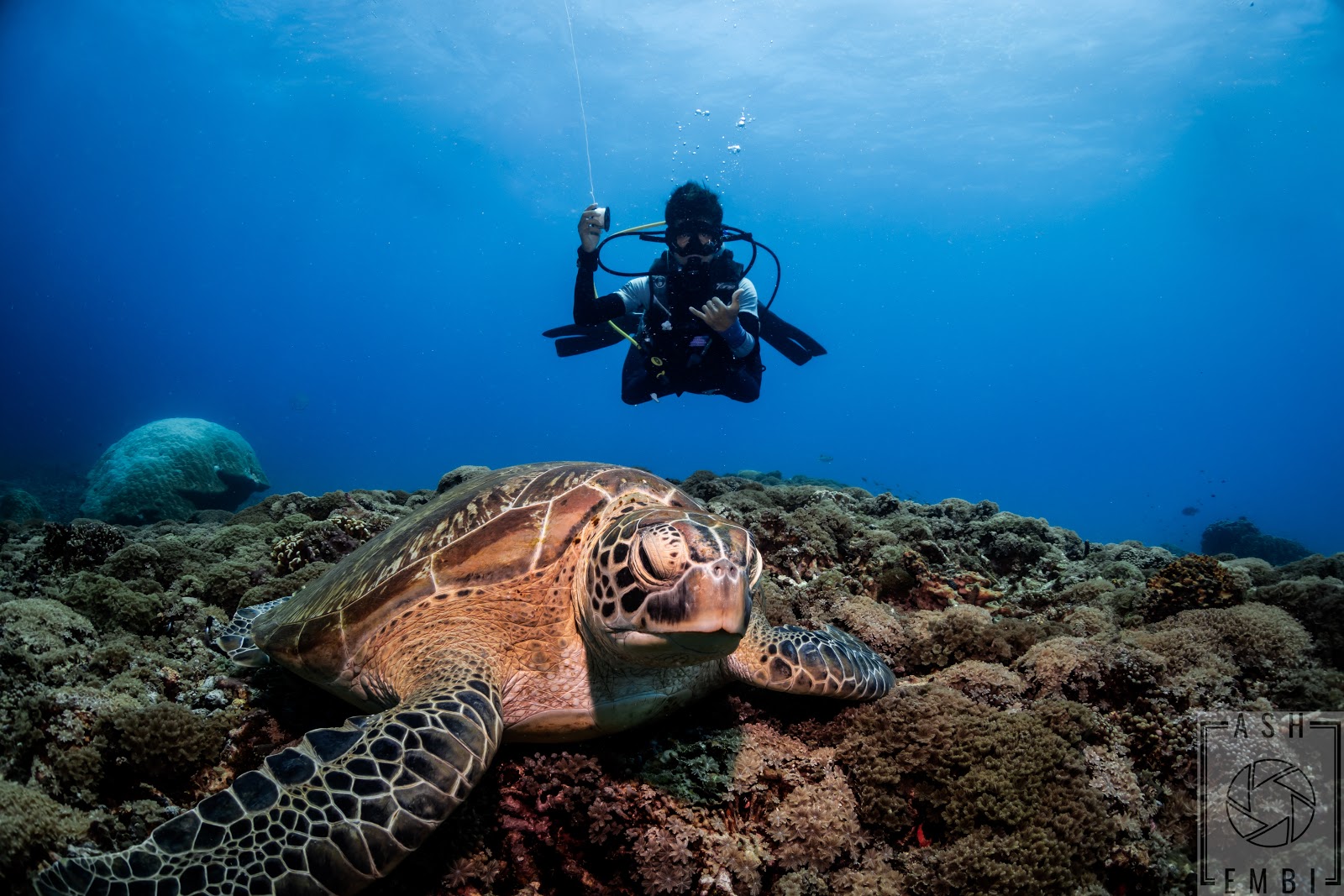 Trawangan Dive Centre