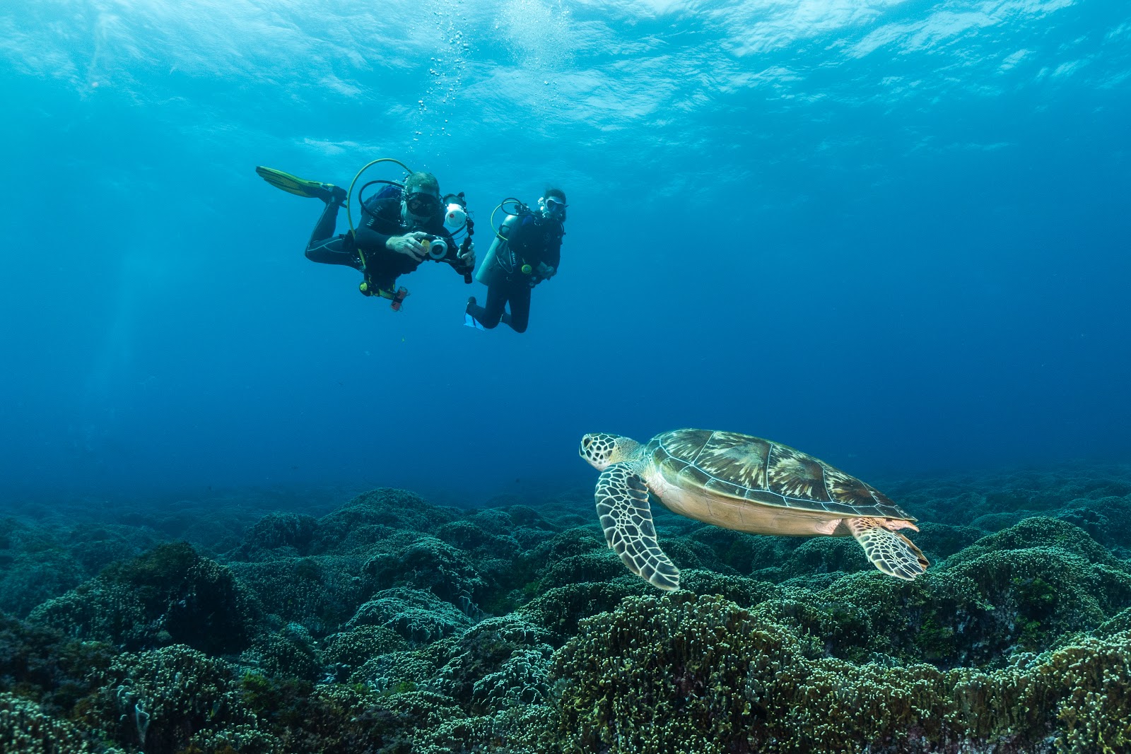 Trawangan Dive Centre