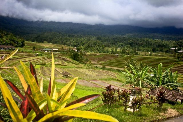 Immerse Yourself in Bali's Culture: Touring with English-Speaking Local Guides