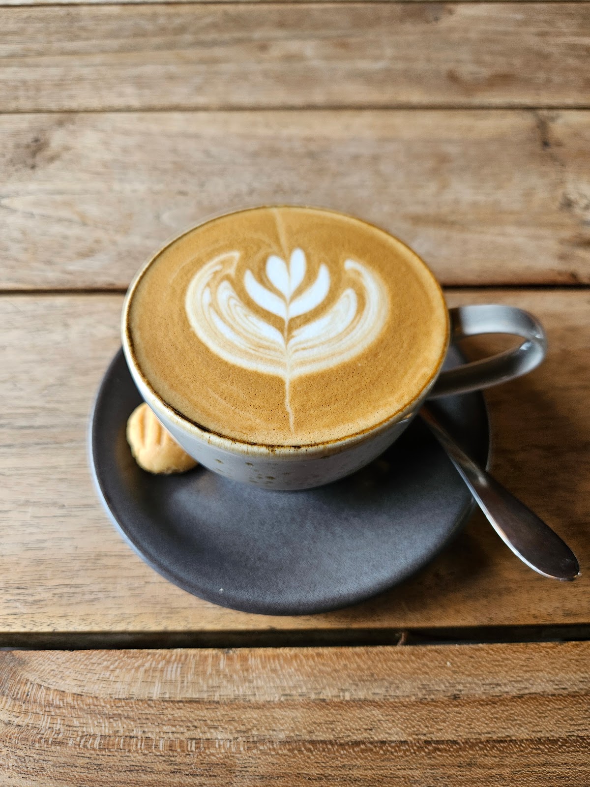 SATUSATU COFFEE COMPANY