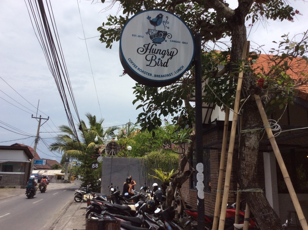 Hungry Bird Coffee Roaster