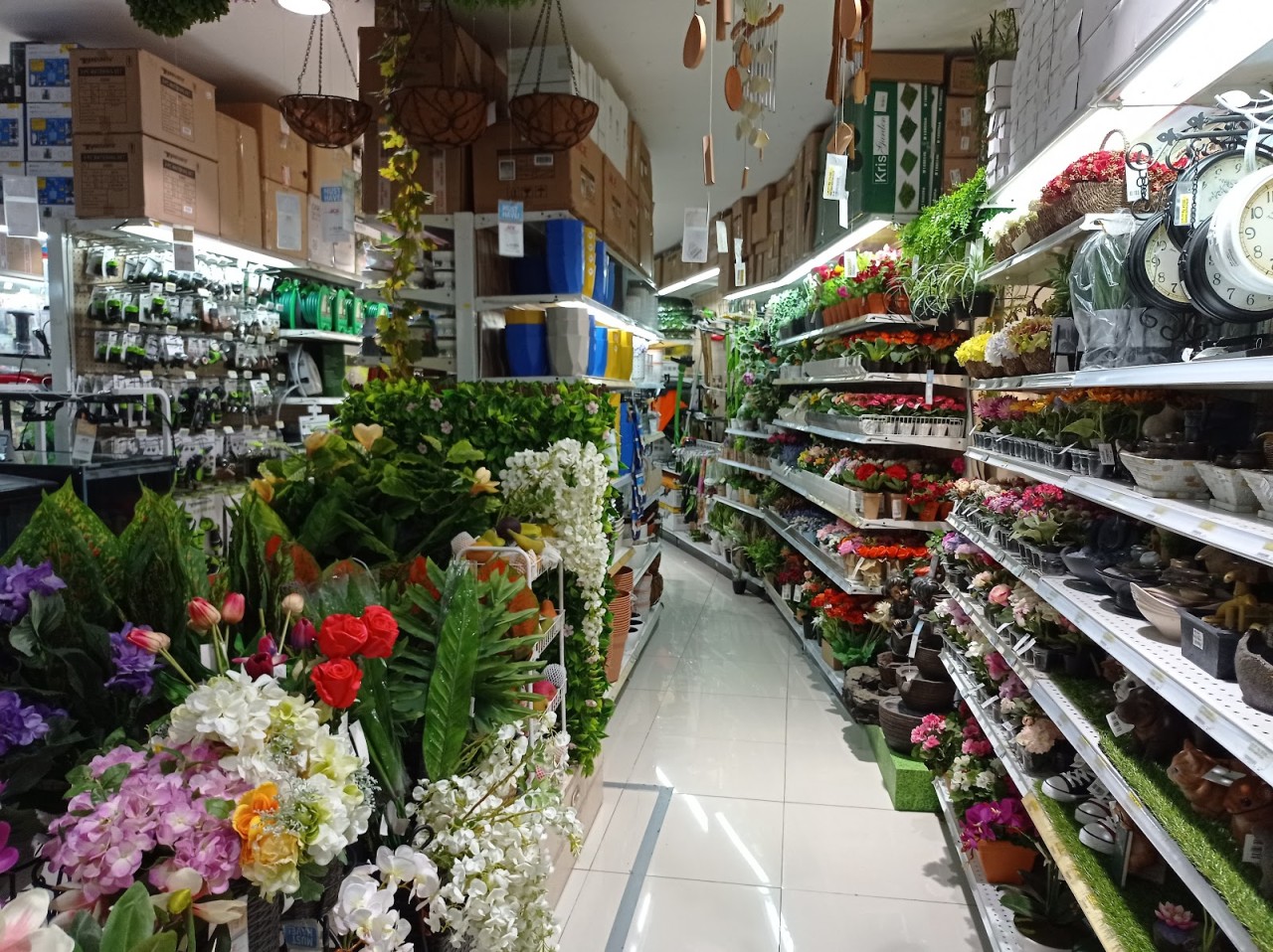 Ace Hardware