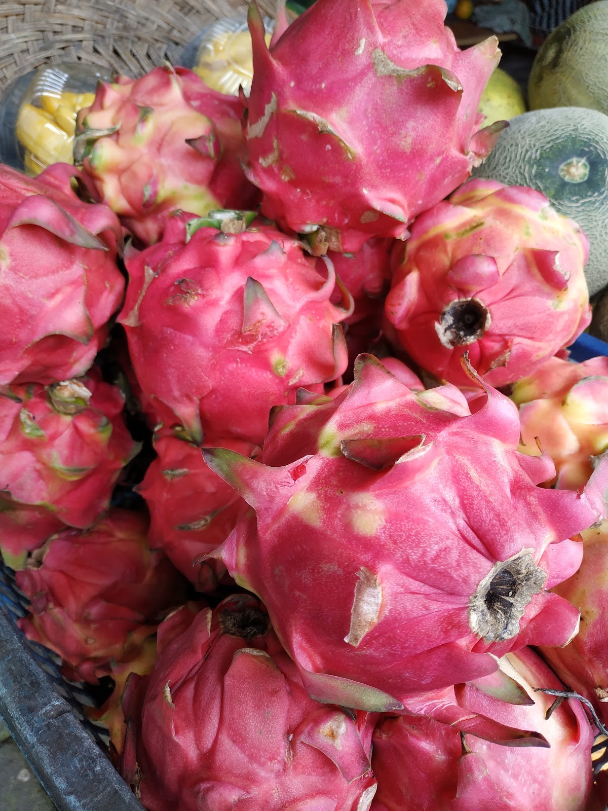 Komang Fruit Shop